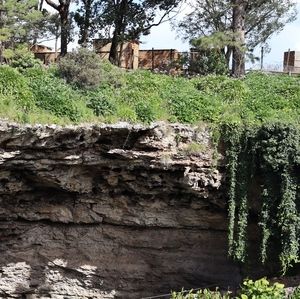 Meet your Posher, Enyan